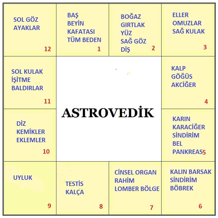 beden ve evler astrovedik eğitim Hint Astrolojisi Vedik Astroloji jyotish